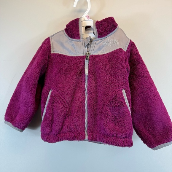 The North Face Toddler Osito jacket Size 2T - Picture 1 of 9